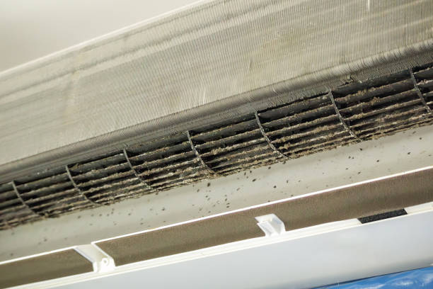 Best Affordable Duct Cleaning Services  in Cherry Hill, VA